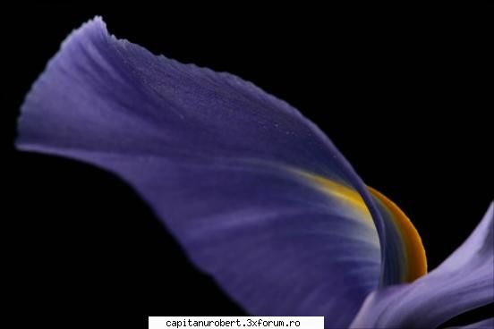 wallpapers - ) .... hai k bag niste wallpapere... ;;) - WALLPAPERS